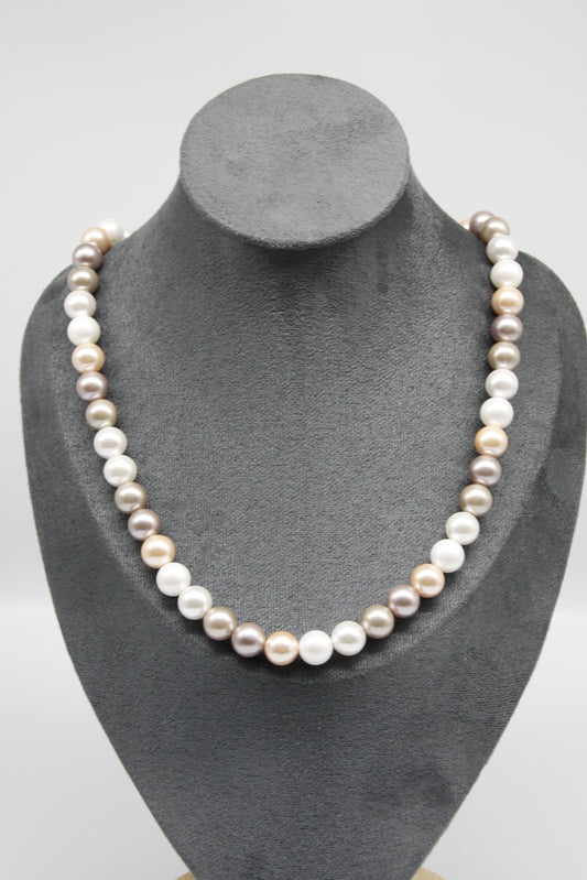 Shell Pearl Necklace (60cm)