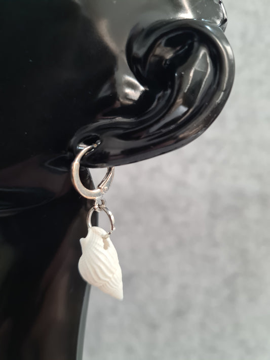 Shell Earrings (Sleepers)